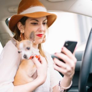 Woman on her phone holding a chihuahua in her car. 