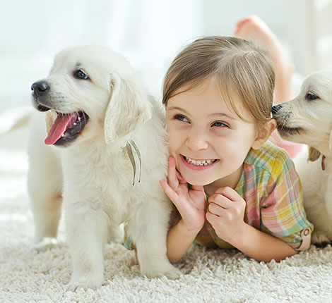 kids-girl with white puppies